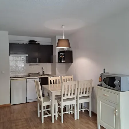 Apartman La Merlerie Super-besse Agreable 5p Grand Balcon Parking Prive Besse-et-Saint-Anastaise
