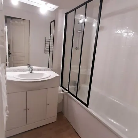 La Merlerie Super-besse Agreable 5p Grand Balcon Parking Prive * Besse-et-Saint-Anastaise