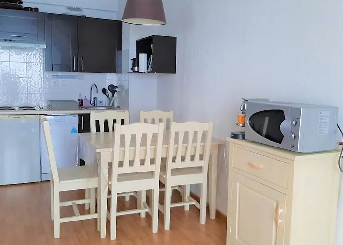 La Merlerie Super-besse Agreable 5p Grand Balcon Parking Prive * Besse-et-Saint-Anastaise