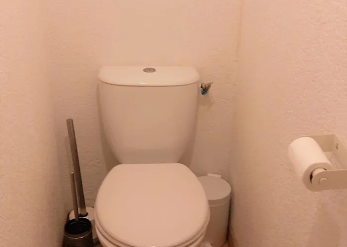 Apartman La Merlerie Super-besse Agreable 5p Grand Balcon Parking Prive Besse-et-Saint-Anastaise