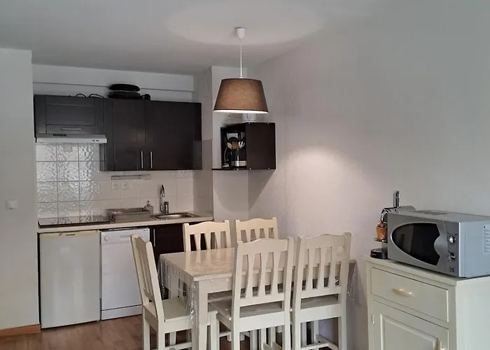 Apartman La Merlerie Super-besse Agreable 5p Grand Balcon Parking Prive Besse-et-Saint-Anastaise