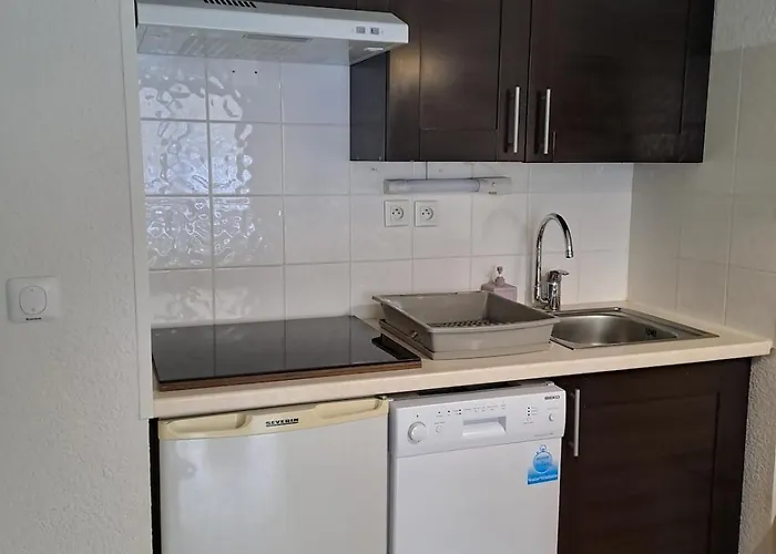 Apartman La Merlerie Super-besse Agreable 5p Grand Balcon Parking Prive Besse-et-Saint-Anastaise